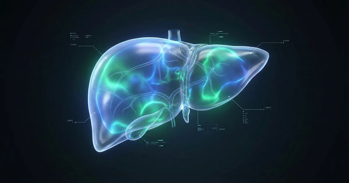 NMN and Liver Health: Safe or Toxic? Latest Research Facts